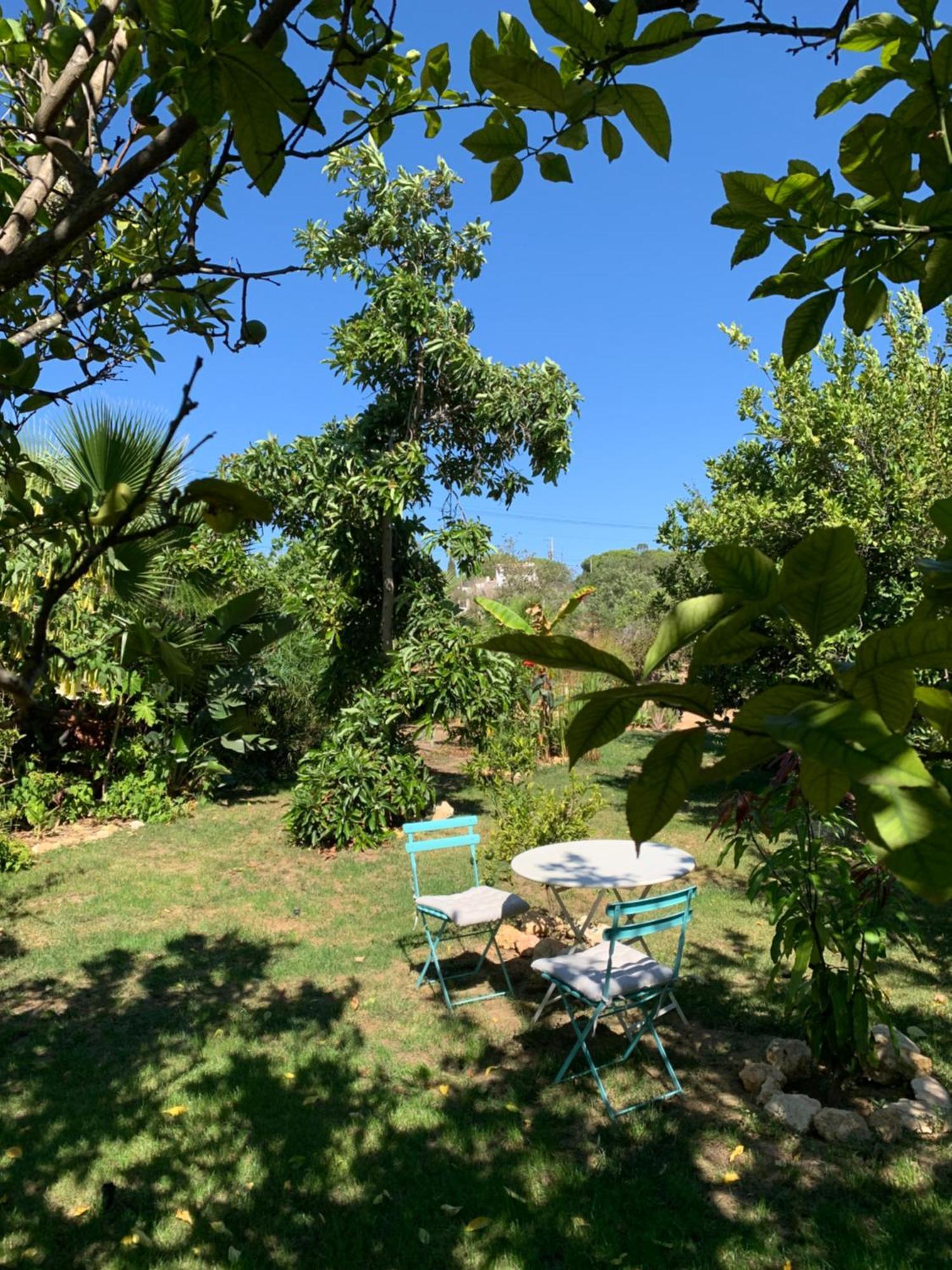 A Tranquil Garden Apartment, Carvoeiro - Benagil Dış mekan fotoğraf