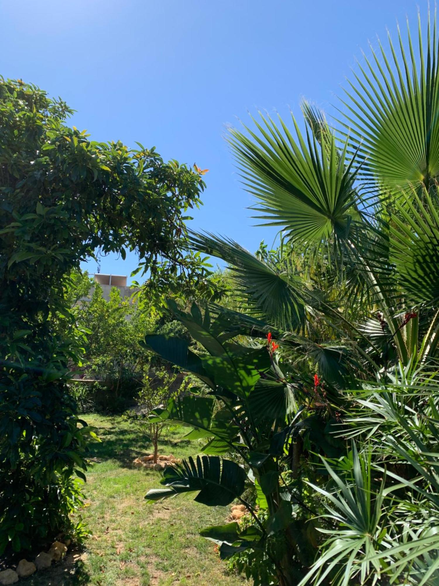 A Tranquil Garden Apartment, Carvoeiro - Benagil Dış mekan fotoğraf